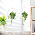 Hanging Plant Pot Holder with Iron Frame