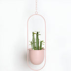 Hanging Plant Pot Holder with Iron Frame