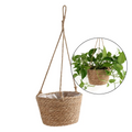 Plant Basket