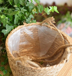 Plant Basket