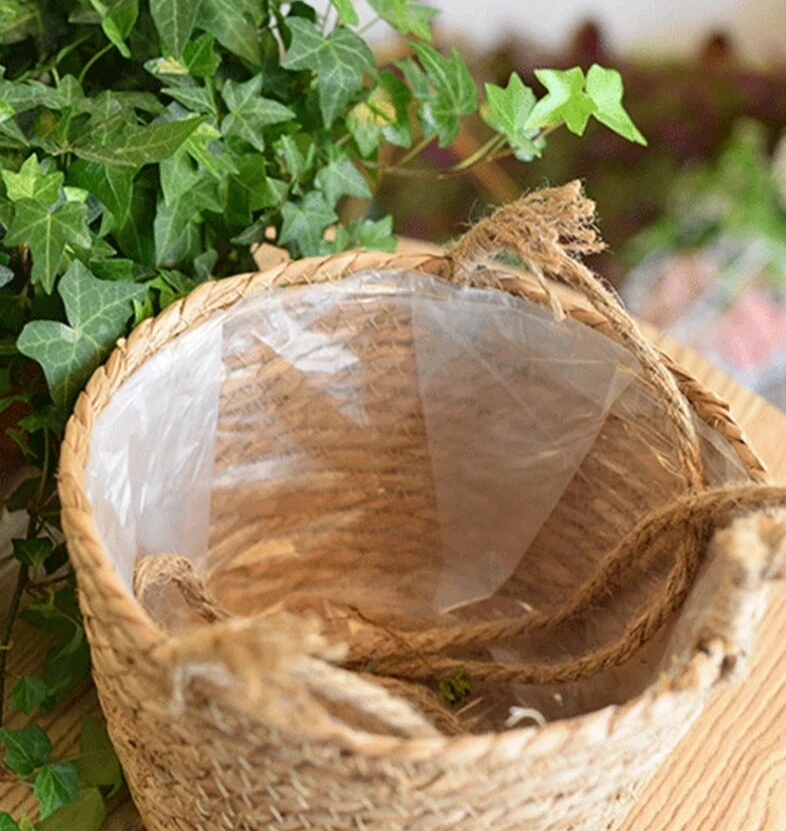 Plant Basket