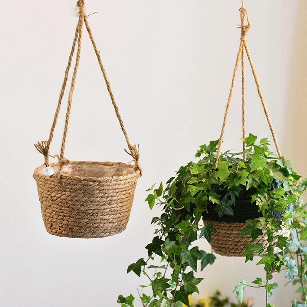 Plant Basket