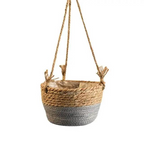 Plant Basket