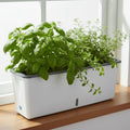 Self-Watering Planter Box with Integrated Reservoir