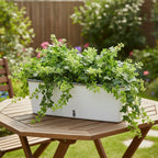 Self-Watering Planter Box with Integrated Reservoir