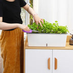 Self-Watering Planter Box with Integrated Reservoir