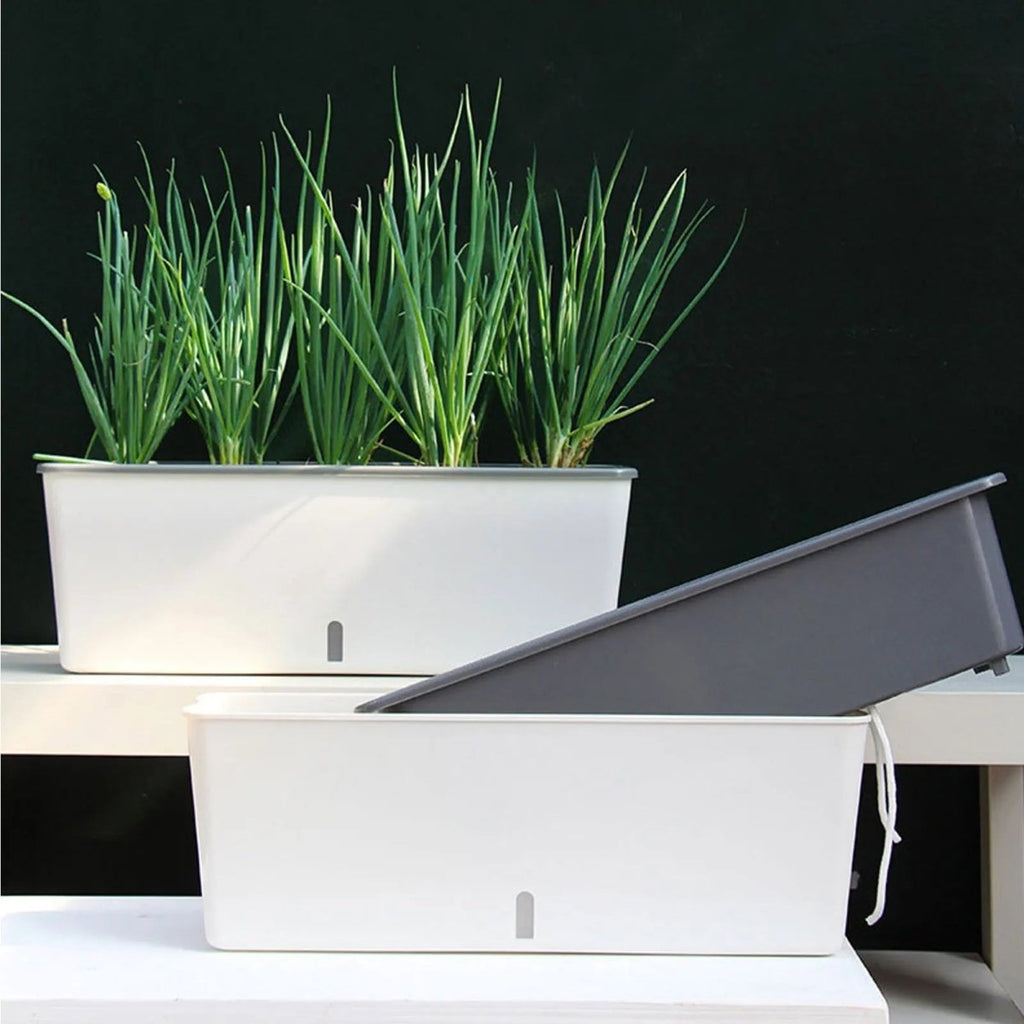 Self-Watering Planter Box with Integrated Reservoir