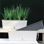 Self-Watering Planter Box with Integrated Reservoir